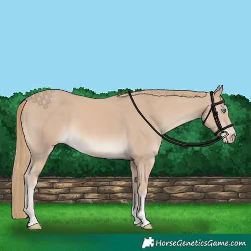 Horse Color:Smoky Creme 