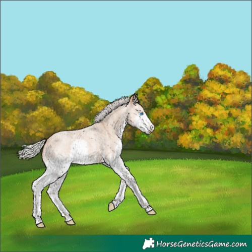 Horse Color:White Spotted Silver Bay Roan Dun Splash 
