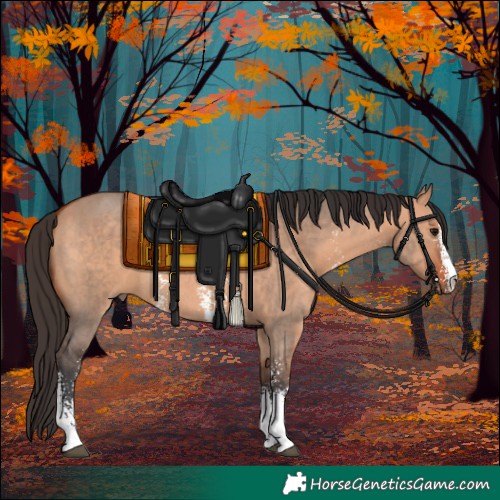 Horse Color:Bay Dun Sabino 