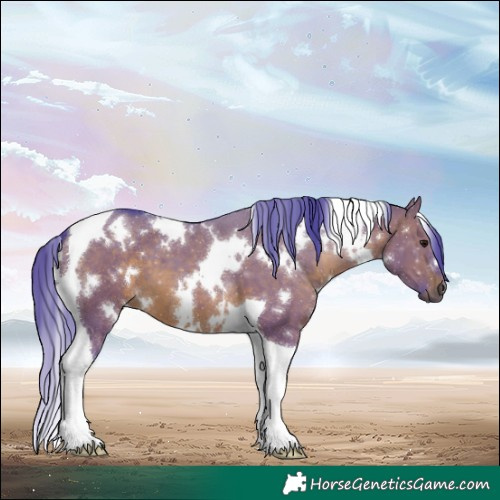Horse Color:Watercolor White Spotted Brown Dun Tobiano 