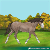 Horse Color:Classic Champagne 
