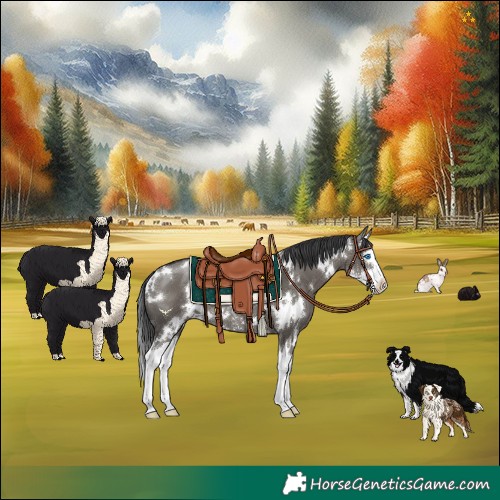 Horse Color:White Spotted Grullo Sabino Splash Rabicano 