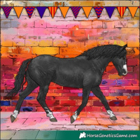 Horse Color:Black 