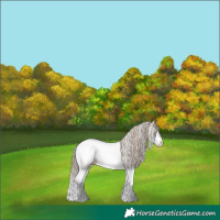 Horse Color:Liver Red Dun Pearl Sabino Splash Tobiano Snowcap 