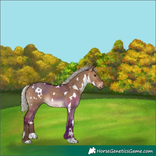 Horse Color:White Spotted Silver Brown Dun 
