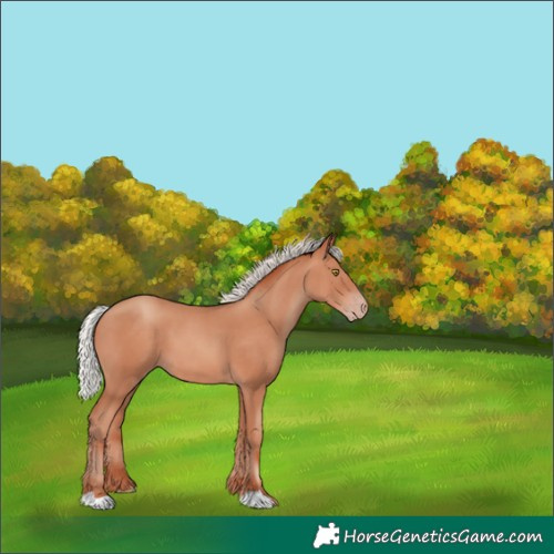 Horse Color:Silver Amber Champagne 
