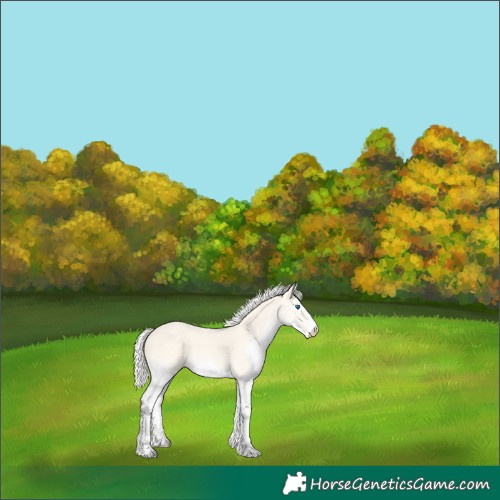 Horse Color:Silver Perlino Splash 