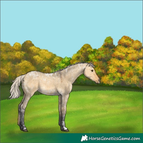 Horse Color:Silver Buckskin Ice Dun 