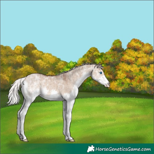 Horse Color:Silver Brown Ice Dun Splash 