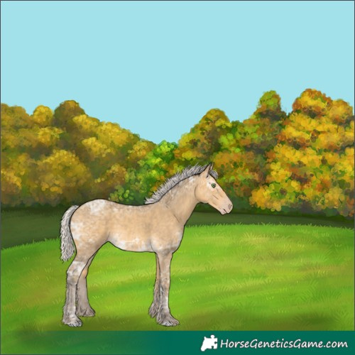 Horse Color:Silver Amber Cream Champagne Ice 