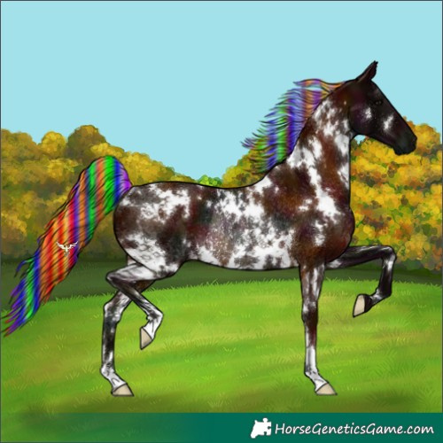 Horse Color:Painted White Spotted Midnight Silver Brown Rabicano 