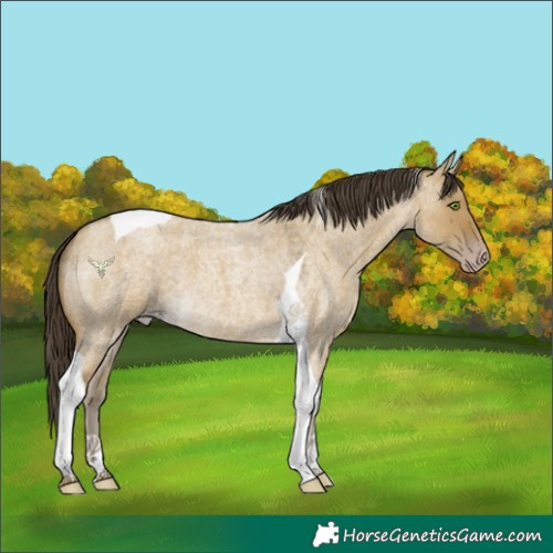 Horse Color:Classic Cream Champagne Roan Dun Tobiano 