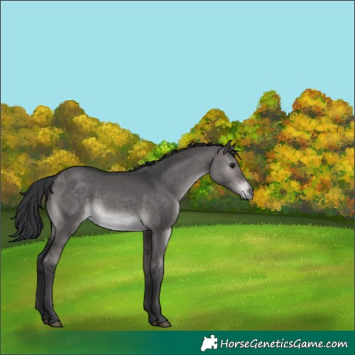 Horse Color:Platinum Brown Dun 