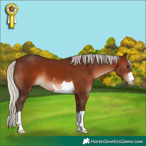 Horse Color:Silver Brown 