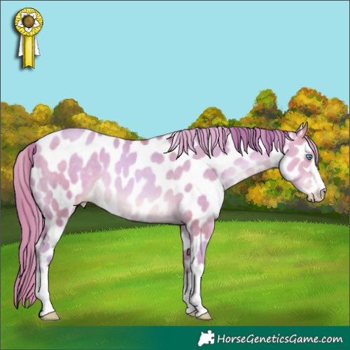 Horse Color:Watercolor Buckskin Pearl Appaloosa 