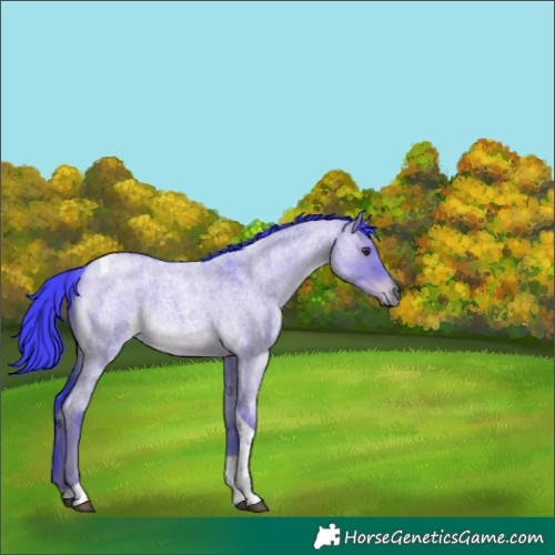 Horse Color:Watercolor Liver Red Dun Roan Tobiano 