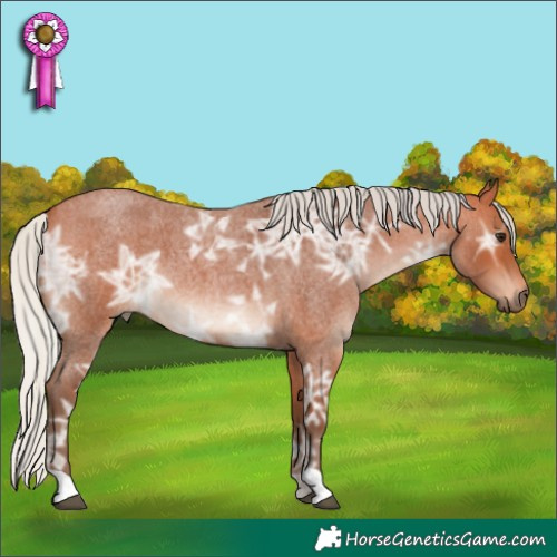Horse Color:Silver Bay Ice Roan 