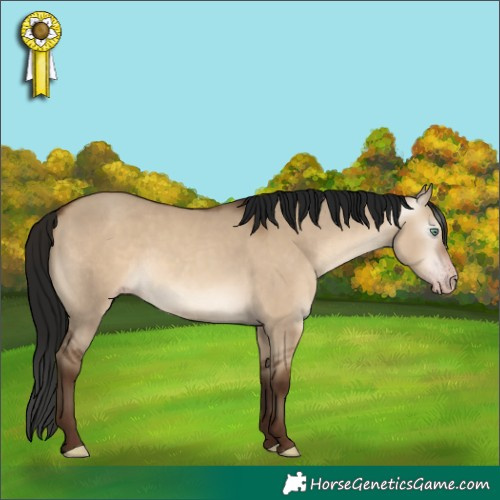 Horse Color:Gray Sable Champagne Dun 