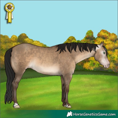 Horse Color:Gray Sable Champagne Dun 