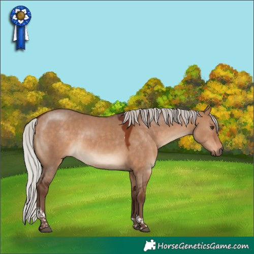 Horse Color:Silver Bay Dun Tobiano 