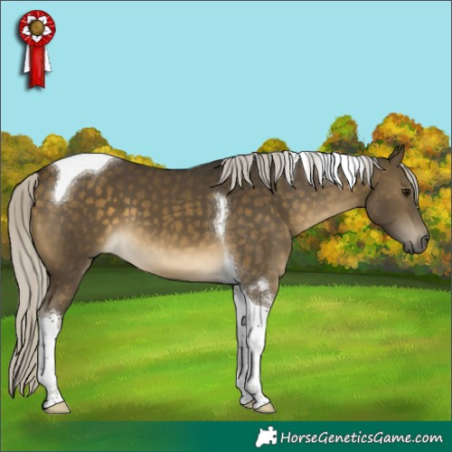 Horse Color:Silver Buckskin Tobiano 