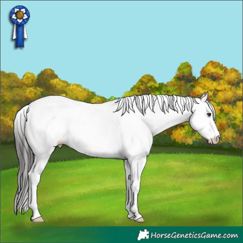 Horse Color:White Spotted Liver Red Dun Tobiano Appaloosa 