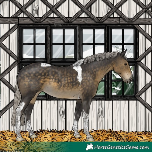 Horse Color:Silver Smoky Black Tobiano Rabicano 