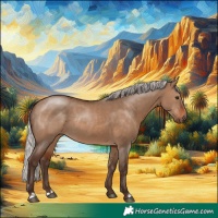 Horse Color:Silver Brown Dun Rabicano