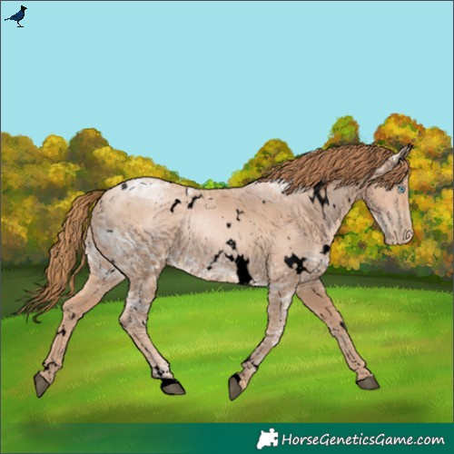 Horse Color:Void White Spotted Chestnut Ice Pearl