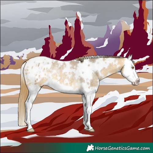 Horse Color:White Spotted Buckskin Dun Splash Blanket Rabicano 