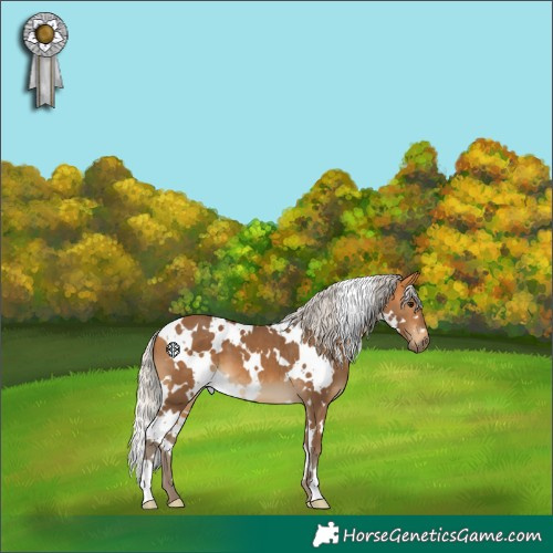 Horse Color:White Spotted Silver Buckskin 