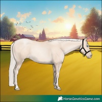 Horse Color:Gold Cream Champagne Pearl 