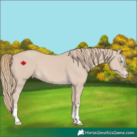 Horse Color:Smoky Creme 