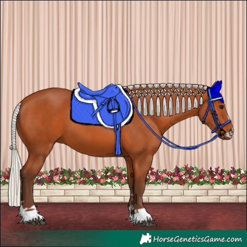 Horse Color:Silver Bay 