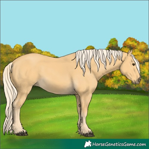 Horse Color:Palomino 