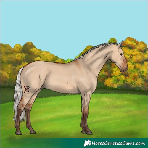 Horse Color:Silver Bay Dun Rabicano 
