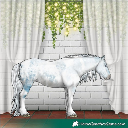 Horse Color:Watercolor White Spotted Silver Brown Chinchilla Ice Tobiano 