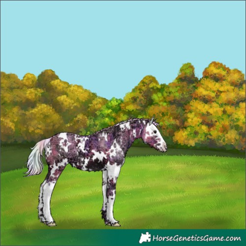 Horse Color:Nacre Watercolor White Spotted Silver Brown Ice Splash 