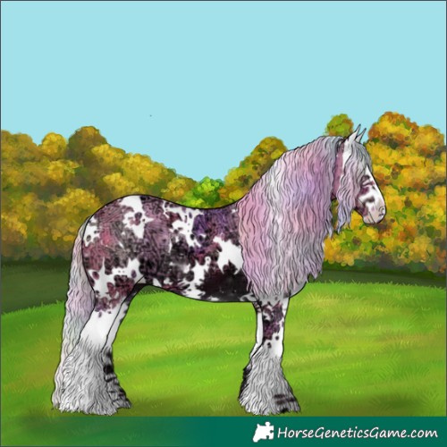 Horse Color:Nacre Watercolor White Spotted Silver Brown Ice Splash 