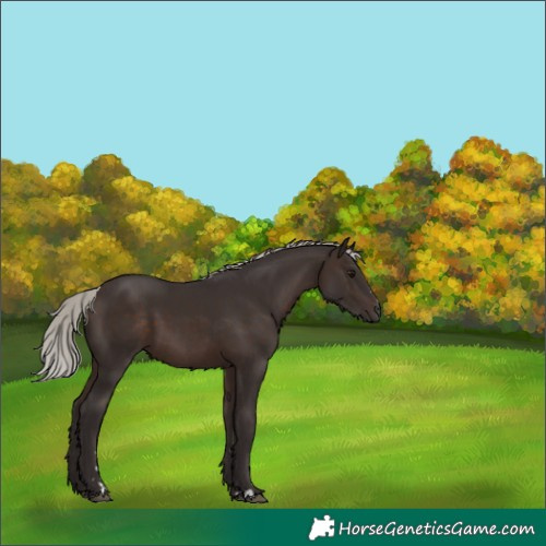 Horse Color:Silver Brown 