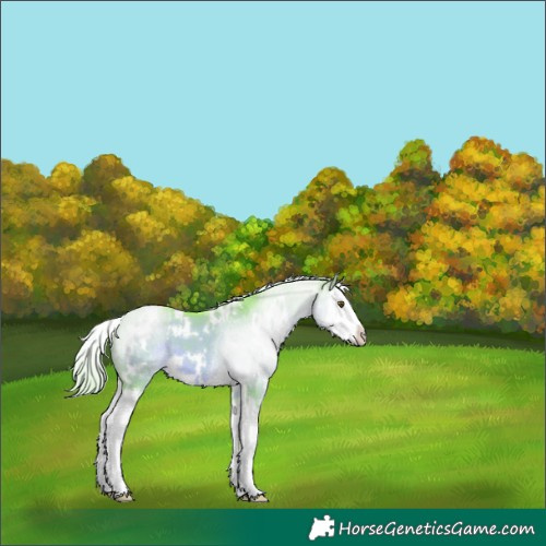 Horse Color:Watercolor White Spotted Chocolate Palomino Dun Mushroom Splash 