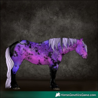 Horse Color:Void Watercolor White Spotted Silver Bay Tobiano