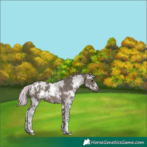 Horse Color:Painted White Spotted Silver Black Ice 