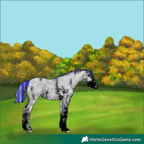 Horse Color:Void Painted Silver Bay Chinchilla Ice Sabino Rabicano 