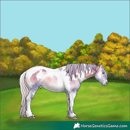 Horse Color:Watercolor White Spotted Silver Brown Chinchilla Onyx Tobiano Rabicano 