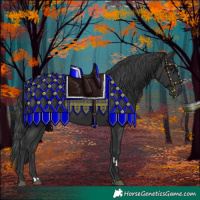 Horse Color:Black 