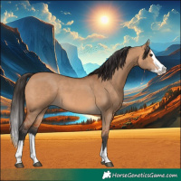 Horse Color:Bay Dun Splash 