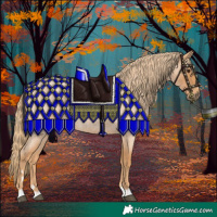 Horse Color:Red Roan 
