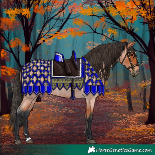 Horse Color:Bay Roan