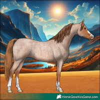 Horse Color:Red Roan 